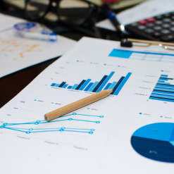 4+ Years of Experience in Business & CRM Strategy